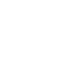 Sellforge Shop Apple